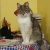 Отзыв от Эмма Тарасова
